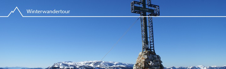 Tierische Nebelflucht – Krummbachstein (1602m)