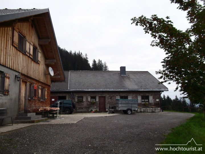 An der Schönen Mann Alpe kann man Cindy kennenlernen, die Alm-Hündin.