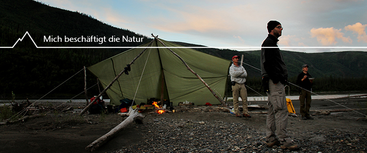 Martin Krejcarek, Organisationsberater & Erwachsenenbildner