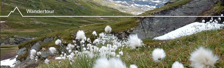 Into the wild! Wandern im Aurlandsdalen