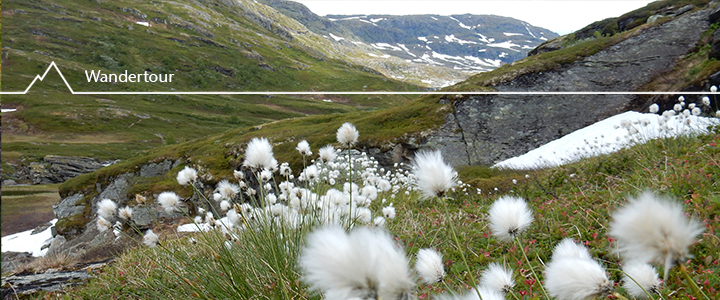 Into the wild! Wandern im Aurlandsdalen